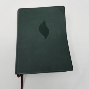 The Holy Bible Fire Edition In Chinese Abundant Life Study Book Green Softcover